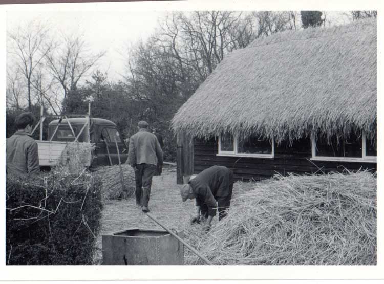 Father, grandfather and great grandfather at work together. The pickup truck looks pretty antique!