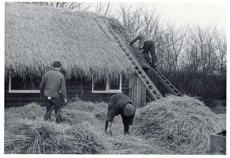 Three generations working together